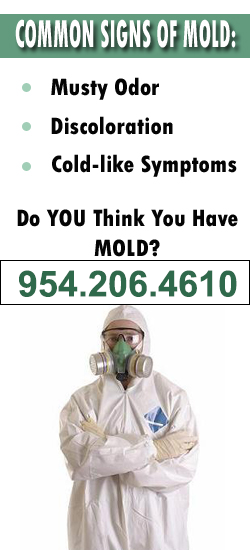 Coral Springs Mold Remediation Contractor